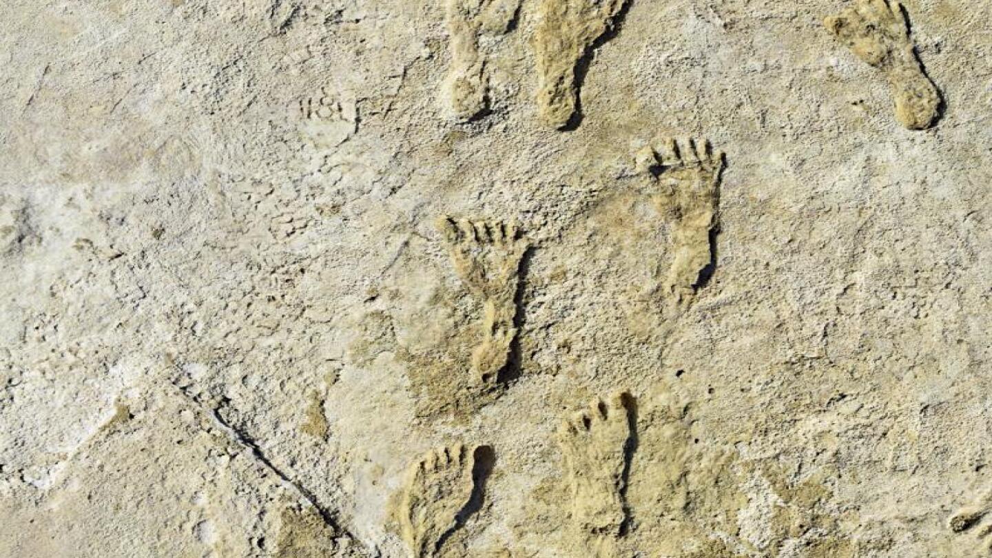 human footprint fossil