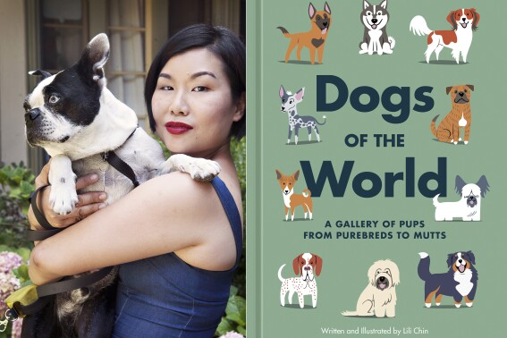 This combination of photos shows author/illustrator Lili Chin with her Boston Terrier Boogie, left, and cover art for "Dogs of the World: A Gallery of Pups from Purebreds to Mutts," by Lili Chin. (Amanda Brooks via AP, left, and Penguin Random House/Ten Speed via AP)