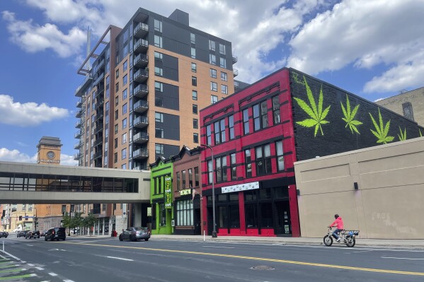 Massive green marijuana leaves are painted against a black wall on a building connected to The THC Joint, a business that sells hemp-derived THC products and accessories, in Minneapolis, July 31, 2023. Minnesota's legalization of recreational marijuana went into effect on Tuesday, Aug. 1, 2023, allowing people 21 and older to legally possess and grow their own marijuana for recreational purposes, subject to limits as the state establishes a legal cannabis industry in the coming months and years. (AP Photo/Trisha Ahmed)