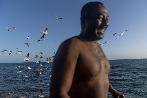 Seagulls hover around Rody Grant after he retrieved live conch shells from his underwater pen to sell at the local fish market in West End, Grand Bahama, Bahamas, Saturday, Dec. 3, 2022. The country of about 400,000 is home to 9,000 conch fishers - fully 2% of the population, and the number appears to be holding steady even as conch declines, according to a study in the journal Fisheries Management and Ecology. (AP Photo/David Goldman)