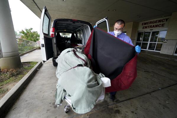 FILE - In this Aug. 18, 2021, file photo, an employee of a local funeral home covers the body of a COVID-19 patient patient who died as he prepares to take it away from a loading dock, at the Willis-Knighton Medical Center in Shreveport, La. COVID-19 deaths in the U.S. have climbed to an average of more than 1,900 a day for the first time since early March, with experts saying the virus is preying largely on a select group: 71 million unvaccinated Americans. (AP Photo/Gerald Herbert, File)
