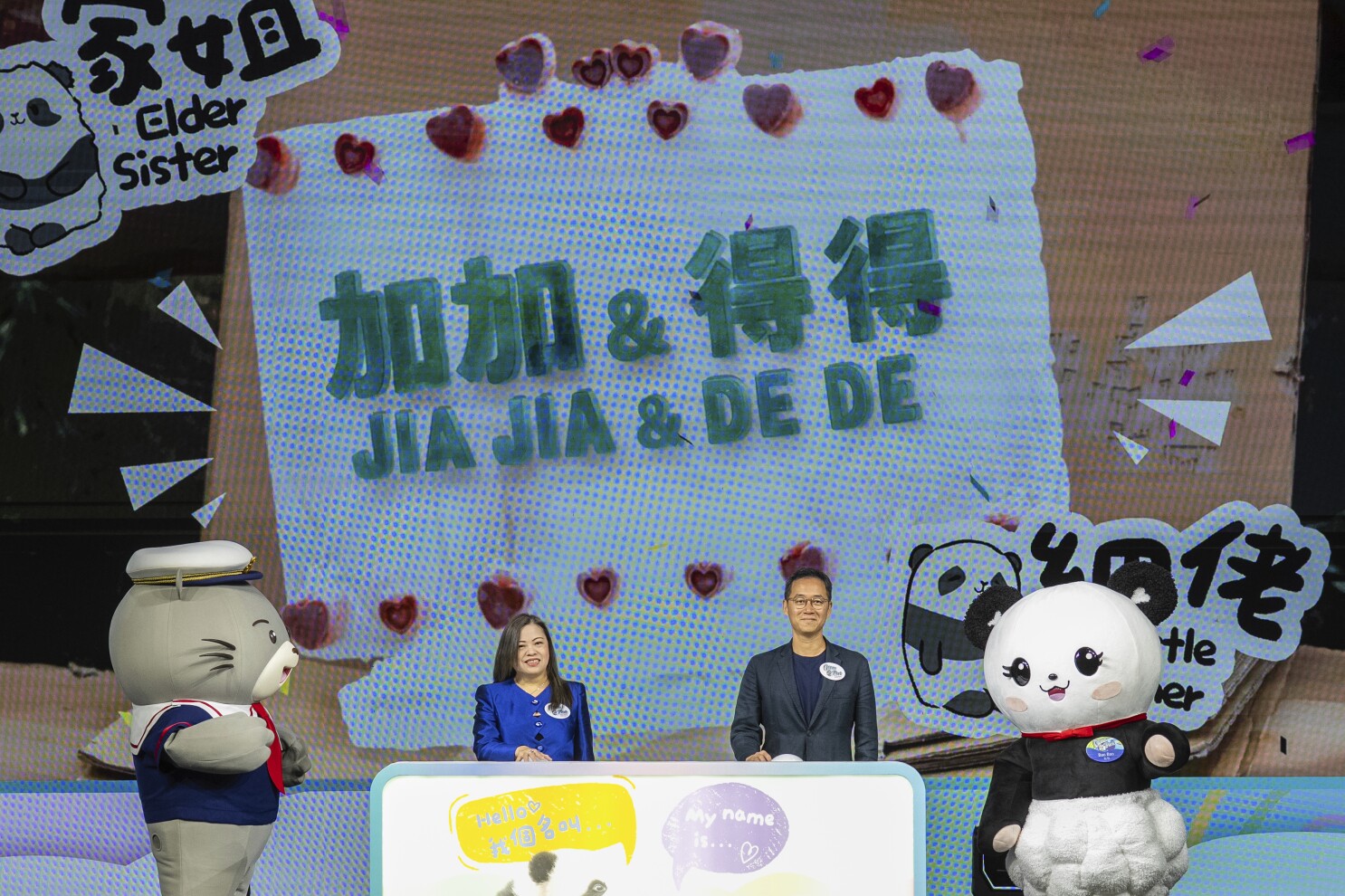 Hong Kong's baby pandas finally get names. Meet Jia Jia and De De