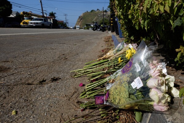 Flowers are placed along along the Pacific Coast Highway, after a crash that killed four college students and injured two others, in Malibu, Calif. on Thursday, Oct. 19, 2023. Officials say police have arrested a 22-year-old driver on suspicion of manslaughter. Sheriff's officials say six pedestrians were struck at about 8:30 p.m. Tuesday along Pacific Coast Highway, a few miles east of Pepperdine University. (AP Photo/Richard Vogel)