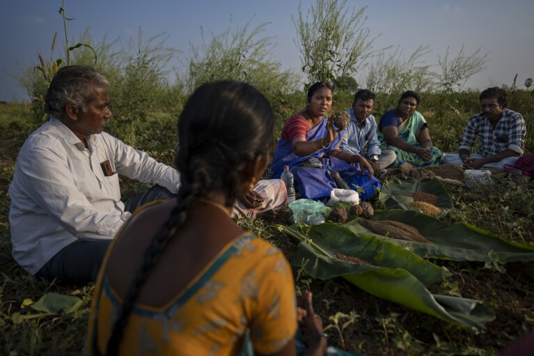 V Vanisaree, center, district project manager RySS, a regional government backed not-for-profit that promotes natural farming, explains the techniques involving natural fertilizer to members of a group in Pamidipadu village, Bapatla district of southern India's Andhra Pradesh state, Sunday, Feb. 11, 2024. (AP Photo/Altaf Qadri)
