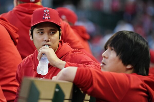 Los Angeles Angels' Shohei Ohtani talks with his translator Ippei Mizuhara, right, in the dugout during the first inning of a baseball game against the Oakland Athletics in Anaheim, Calif., Saturday, Sept. 30, 2023. (AP Photo/Ashley Landis)