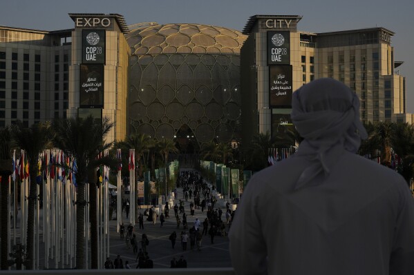 A man looks out at the Al Wasl Dome at Expo City at the COP28 U.N. Climate Summit, Saturday, Dec. 2, 2023, in Dubai, United Arab Emirates. (AP Photo/Rafiq Maqbool)
