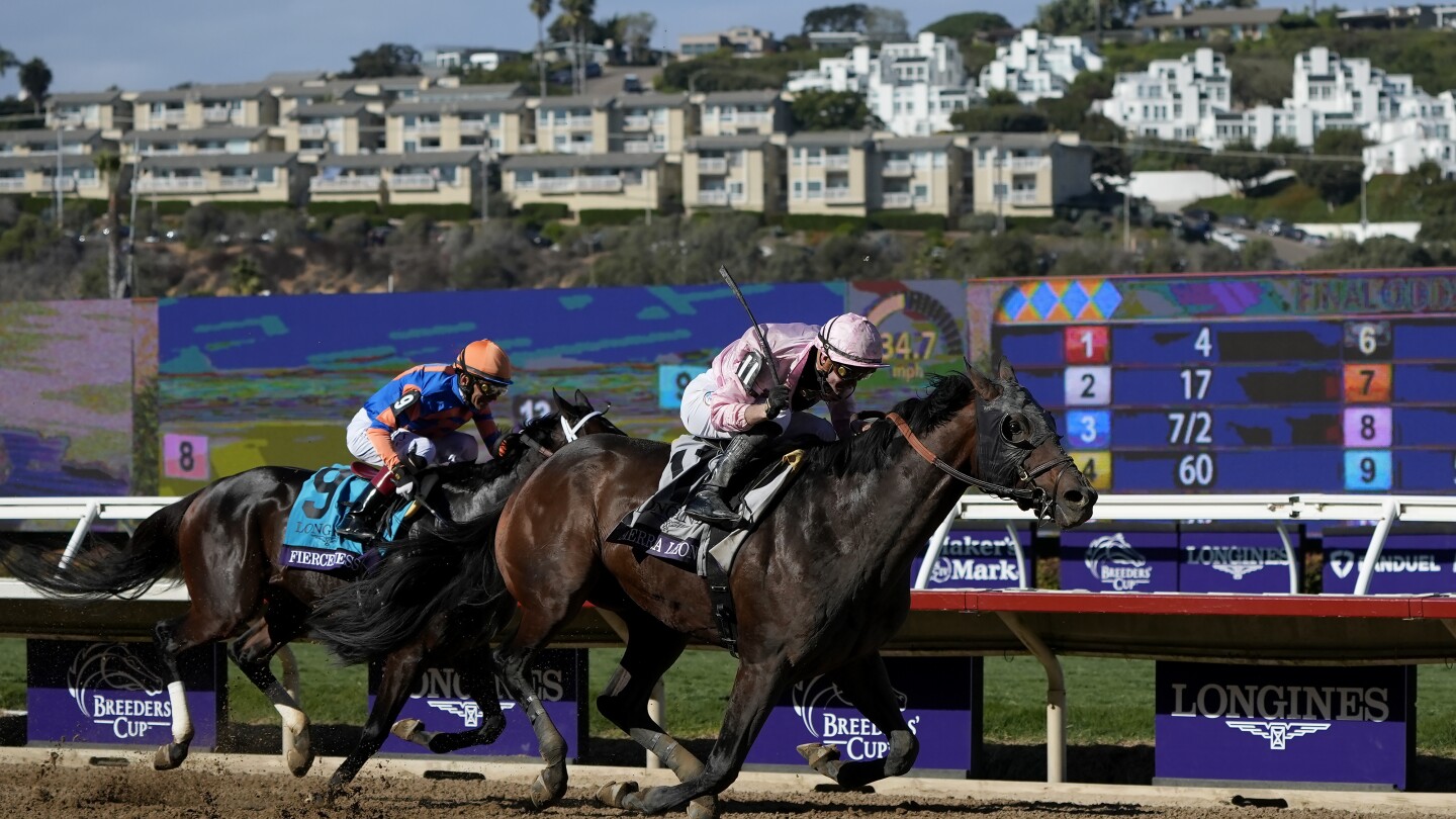 Sierra Leone wins  million Breeders’ Cup Classic after suffering close loss in Kentucky Derby