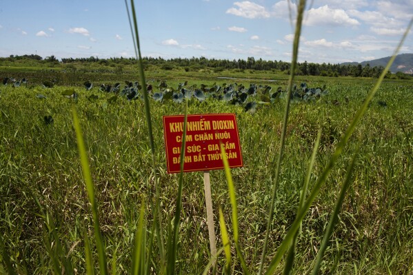 FILE- A warning sign stands in a field contaminated with dioxin near Danang airport, during a ceremony marking the start of a project to clean up dioxin left over from the Vietnam War, at a former U.S. military base in Danang, Vietnam, Aug. 9, 2012. The sign reads; "Dioxin contamination zone - livestock, poultry and fishery operations not permitted." (AP Photo/Maika Elan, File)