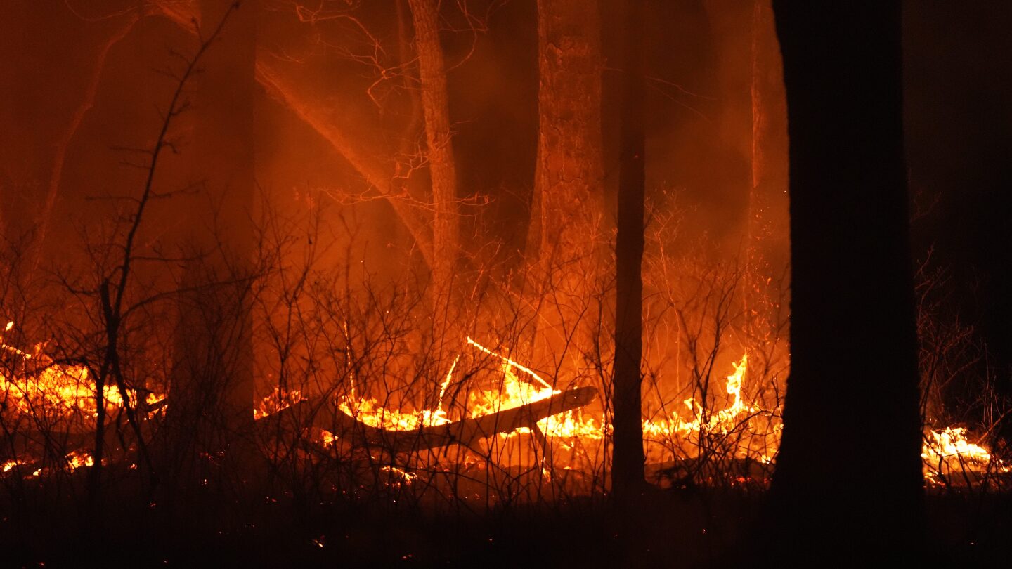 Evacuation orders lifted as fast-moving New Jersey wildfire burns
