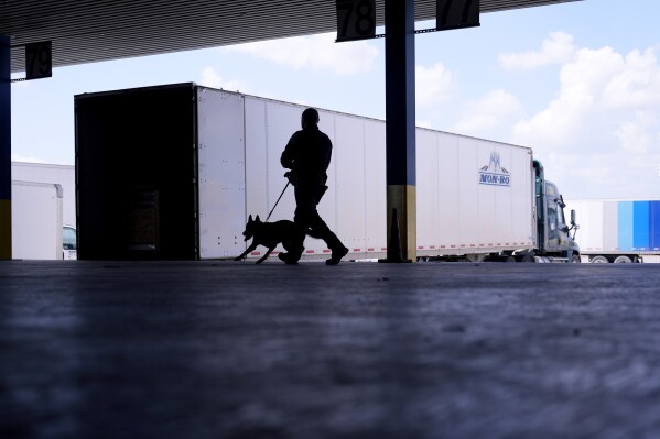 A Customs and Border Protection officer and a K-9 German Shepherd named Magi inspect trucks at the Port of Laredo in Laredo, Texas, on Friday, Aug. 9, 2024. (AP Photo/Eric Gay)