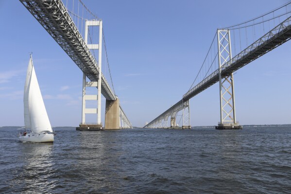 A boat sails on the Chesapeake Bay under the Bay Bridge near Stevensville, Md., on Sunday, Aug. 20, 2023. The overall health of the Chesapeake Bay has received its highest grade since 2002 in an annual report released on Tuesday, July, 9, 2024: a C-plus. (AP Photo/Brian Witte)