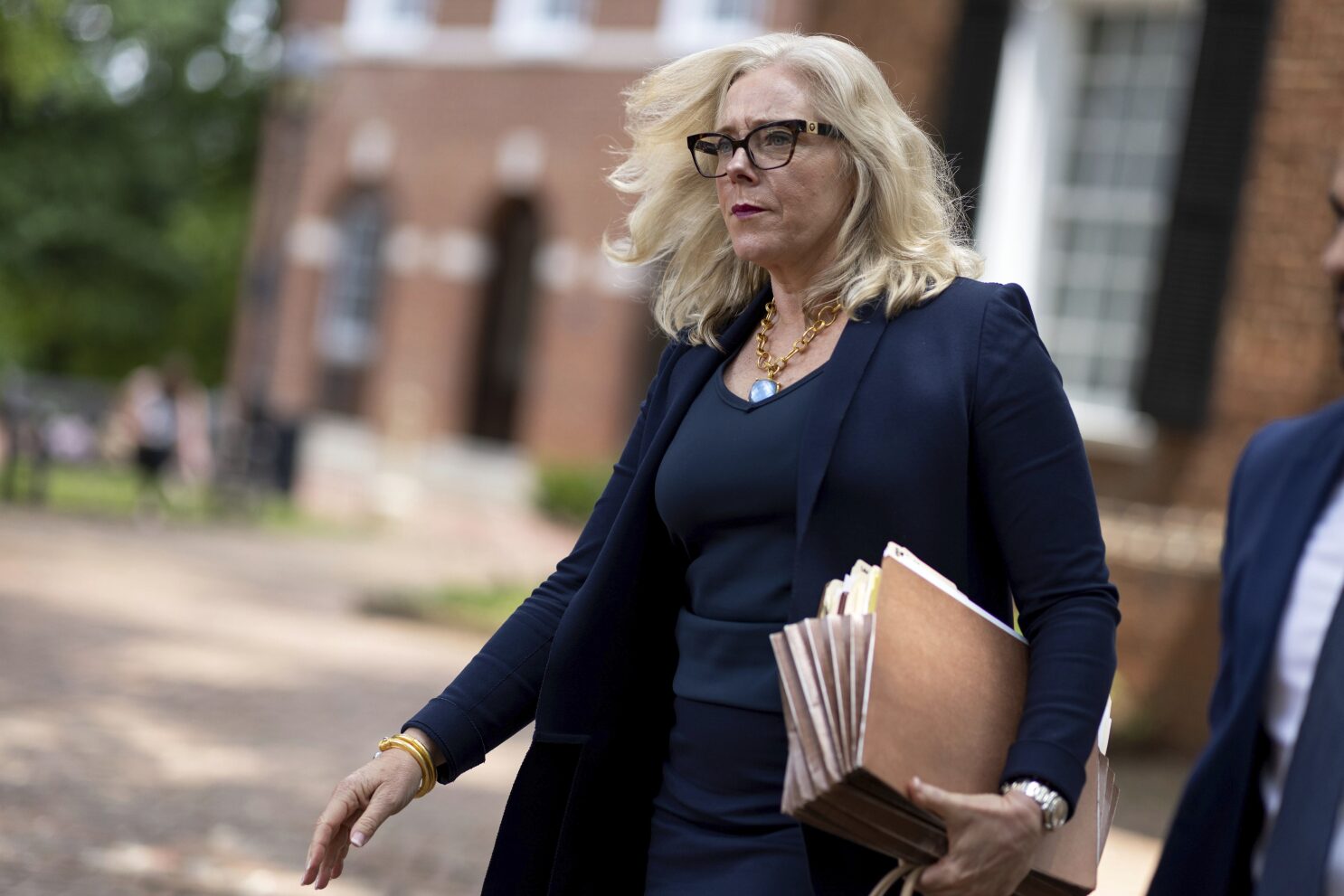 Virginia Democrats choose nominees as politicos watch for clues