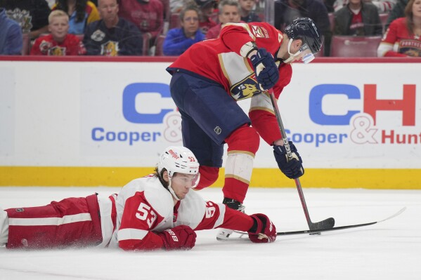 Florida Panthers center Aleksander Barkov (16) gets a breakaway as Detroit Red Wings defenseman Moritz Seider (53) defends during the first period of an NHL hockey game Saturday, March 30, 2024, in Sunrise, Fla. (AP Photo/Jim Rassol)