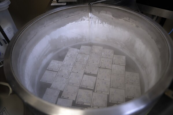 FILE - In this Tuesday, Oct. 2, 2018 photo, containers holding frozen embryos and sperm are stored in liquid nitrogen at a fertility clinic in Fort Myers, Fla. (AP Photo/Lynne Sladky, File)