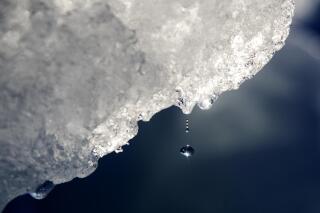 FILE - A drop of water falls off an iceberg melting in the Nuup Kangerlua Fjord near Nuuk in southwestern Greenland, Tuesday, Aug. 1, 2017. According to a report by the U.S. National Oceanic and Atmospheric Administration released on Tuesday, Dec. 14, 2021, the Arctic continues to deteriorate from global warming, not setting as many records this year as in the past, but still changing so rapidly that federal scientists call it alarming. (AP Photo/David Goldman)