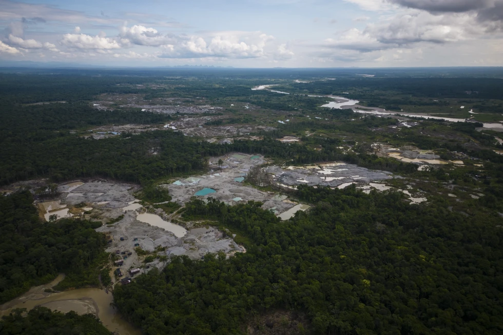Colombia Reports 33% Drop in Deforestation in Early 2025, with Major Progress in Amazon Parks
