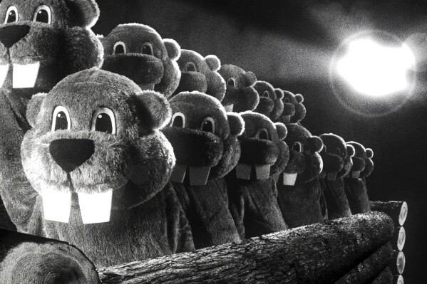 This image released by SRH shows a scene from the film "Hundreds of Beavers." (SRH via AP)