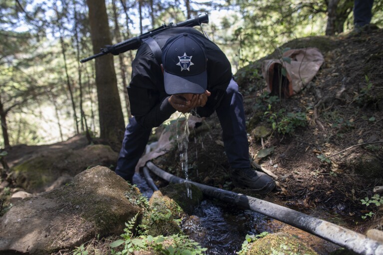 A municipal police officer drinks water from a stream lined with an unlicensed hose as he accompanies locals who are dismantling illegal water taps during a drought in the mountains of Villa Madero, Mexico, Wednesday, April 17, 2024. On Wednesday, dozens of residents, farmworkers and small-scale farmers from Villa Madero hiked up into the hills to tear out irrigation equipment using mountain springs to water avocado orchards carved out of the pine-covered hills. (AP Photo/Armando Solis)