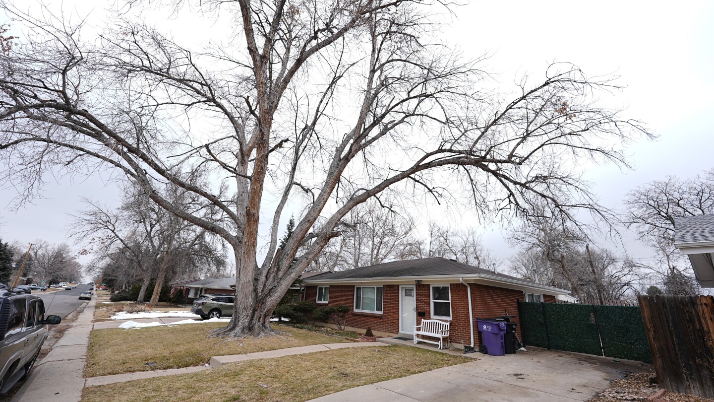 Denver police: 30 human cremains found at house after ex-funeral home owner evicted