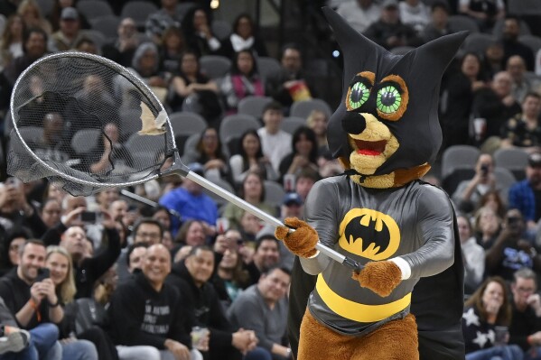 The San Antonio Spurs Coyote mascot captures a bat that flew onto the court during the first half of the Spurs' NBA basketball game against the Minnesota Timberwolves, Saturday, Jan. 27, 2024, in San Antonio. (APPhoto/Darren Abate)