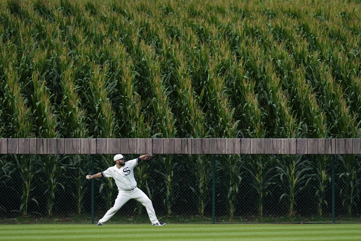 White Sox, Yankees Go Deep Into Corn In 'Field Of Dreams' Game, White Sox  Win With Hollywood Ending - CBS Chicago