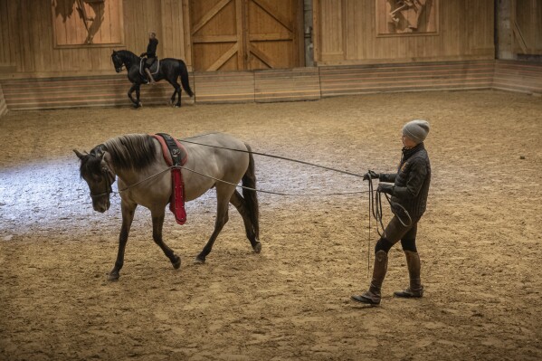 A horsewoman practices with her horse in the stables' riding arena of the royal stables, in Versailles, Thursday, April 25, 2024. More than 340 years after the royal stables were built under the reign of France's Sun King, riders and horses continue to train and perform in front of the Versailles Palace. The site will soon keep on with the tradition by hosting the equestrian sports during the Paris Olympics. Commissioned by King Louis XIV, the stables have been built from 1679 to 1682 opposite to the palace's main entrance. (AP Photo/Aurelien Morissard)