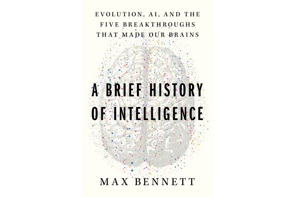This cover image released by Mariner Books shows "A Brief History of Intelligence: Evolution, AI, and the Five Breakthroughs That Made Our Brains" by Max Bennett. (Mariner Books via AP)