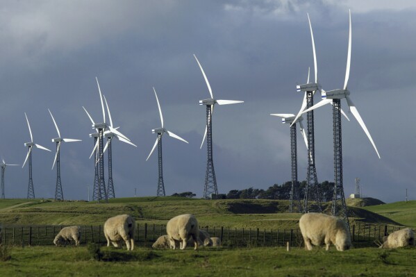 Sheep graze near wind turbines at the Trust Power's Tararua Windfarm near Palmerston North, New Zdealand, May 18, 2004. New Zealand's government said Tuesday, Aug. 8, 2023, it will partner with U.S. investment giant BlackRock in an aim to become one of the first nations in the world to have its electricity grid run entirely from renewable energy. (Dean Purcell/New Zealand Herald via AP)
