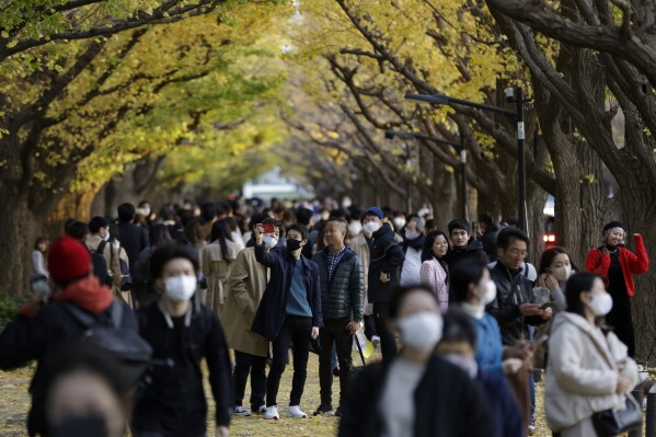 FILE - People wearing protective masks take photos as they walk through the row of ginkgo trees along a sidewalk as the trees and sidewalk are covered with the bright yellow leaves at Jingu Gaien park area on Nov. 28, 2020, in Tokyo. Tokyo's Jingu Gaien park area has been placed on a “Heritage Alert” list by a conservancy that assesses international monuments and historic sites. The body says the planned redevelopment will lead to “irreversible destruction of cultural heritage