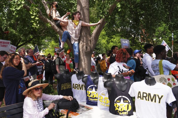 Demonstrators rally at Lafayette park during a demonstration against President Donald Trump policies in Washington, Saturday, June 14, 2025. (AP Photo/Matt Slocum)