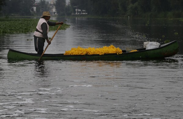FILE - A farmer moves harvest of squash flowers through the channels of Xochimilco in Mexico City on July 13, 2017. Efforts to put agriculture on or in the water are as old as the Aztecs, who built artificial islets to grow food long ago in what's now Mexico. (AP Photo/Marco Ugarte, File)