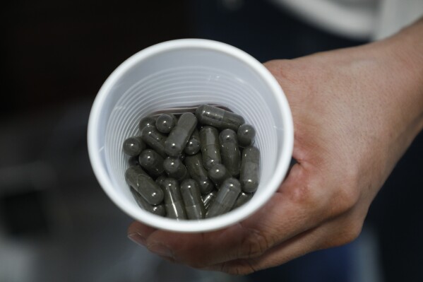 Edgard Boquín, a project leader working with Doctors Without Borders, holds a cup of gelatin caps filled with dried mosquito eggs, in Tegucigalpa, Honduras, Tuesday, Aug. 22, 2023. (AP Photo/Elmer Martinez)