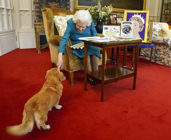 Britain's Queen Elizabeth II, joined by one of her dogs, looks at a display of memorabilia from her Golden and Platinum Jubilees in the Oak Room at Windsor Castle, Windsor, England, Friday Feb. 4, 2022. Queen Elizabeth II will mark 70 years on the throne Sunday Feb. 6, an unprecedented reign that has made her a symbol of stability as the United Kingdom navigated an age of uncertainty. (Steve Parsons/Pool via AP)