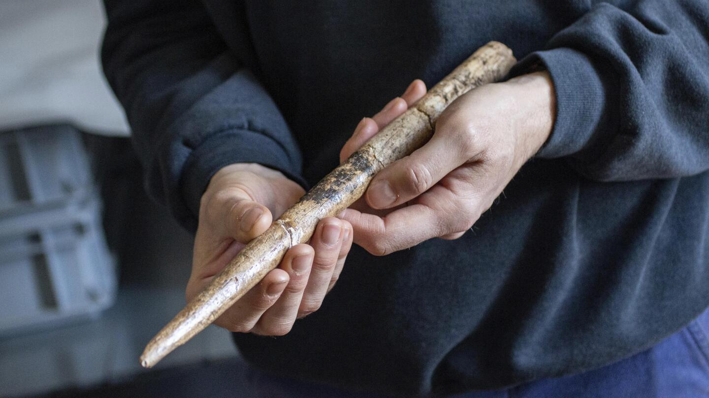 Scientists date the oldest known tools made from whale bones to 20,000 years ago
