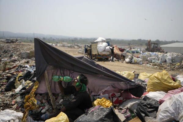 Mohmad Akram drinks water under shade during a heat wave at a garbage dump on the outskirts of Jammu, India, Wednesday, June 19, 2024. As many as 4 million people in India scratch out a living searching through landfills for anything they can sell. (AP Photo/Channi Anand)