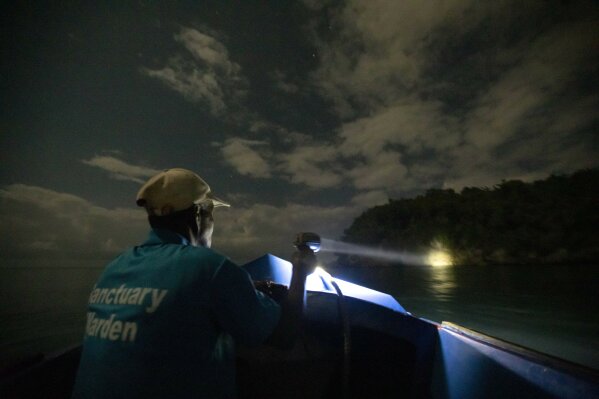 White River Fish Sanctuary warden Donald Anderson shines a spotlight on the coast looking for illegal fishermen while patrolling the no-take zone under moonlight in Ocho Rios, Jamaica, Friday, Feb. 15, 2019. The patrols carry no weapons, so they must master the art of persuasion. And they often meet resistance. "They threaten us and they give you trouble in the reef," Anderson said. (AP Photo/David Goldman)