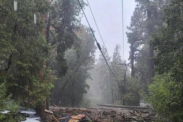 In this photo released by the San Bernardino County Fire Department, a fallen tree and other debris blocks a road in Forest Falls after a mudslide in San Bernardino County, Calif., on Monday, Sept. 12, 2022.  (San Bernardino County Fire Department via AP)