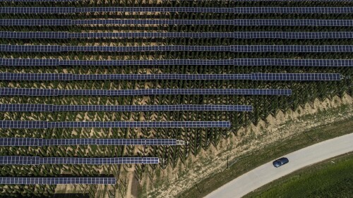 Solar panels are mounted on poles above a hops field near Au in der Hallertau, Germany, Wednesday, July 19, 2023. Solar panels atop crops has been gaining traction in recent years as incentives and demand for clean energy skyrocket. (AP Photo/Matthias Schrader)