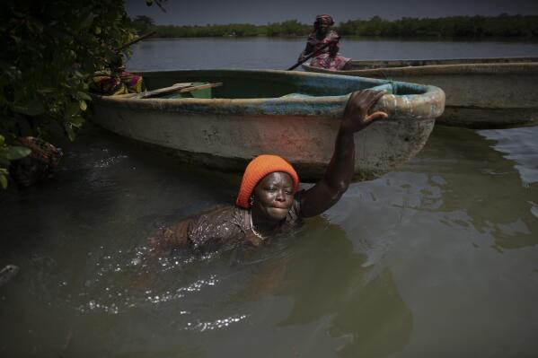 Rose Jatta pulls her boat into the estuary waters as she looks for fish traps she had set up earlier in the mangrove of the Gambia river in Serrekunda, Gambia, Saturday, Sept. 25, 2021. As health officials in Gambia and across Africa urge women to be vaccinated, they've confronted hesitancy among those of childbearing age. Although data on gender breakdown of vaccine distribution are lacking globally, experts see a growing number of women in Africa's poorest countries consistently missing out on vaccines. Jatta fears the vaccine against COVID-19 could make her ill, leaving her two children without food on the dinner table. (AP Photo/Leo Correa)