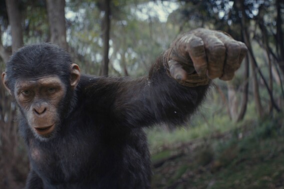 Movie Review: ‘Kingdom of the Planet of the Apes’ finds a new hero and will blow your mind