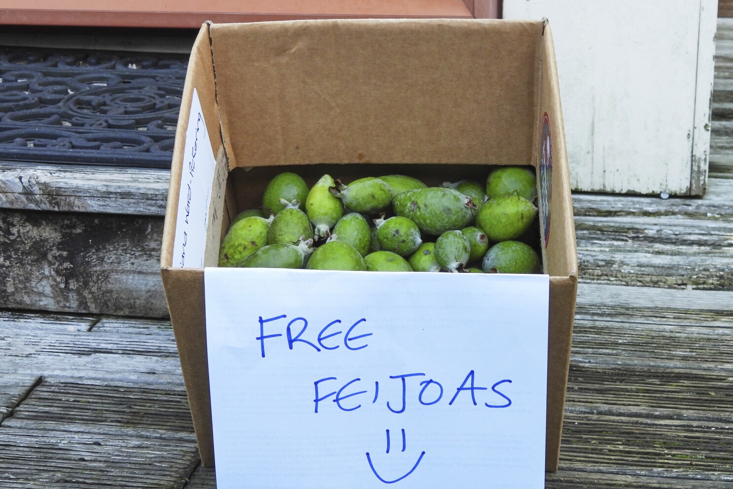The unofficial national fruit of New Zealand isn’t native to the country — it’s South American