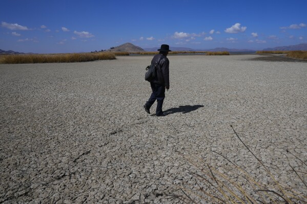 An Aymara man walks on the dry cracked bed of Lake Titicaca, in Huarina, Bolivia, Thursday, July 27, 2023. The lake's low water level is having a direct impact on the local flora and fauna and is affecting local communities that rely on the natural border between Peru and Bolivia for their livelihood. (AP Photo/Juan Karita)