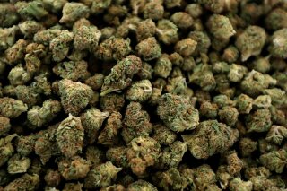 FILE - In this April 12, 2018 file photo, nugs of marijuana await packaging at the Hollingsworth Cannabis Company near Shelton, Wash. Michigan voters will decide in November whether to allow recreational marijuana, after officials certified there are enough signatures to put the measure on the ballot. The state elections board voted 4-0 to let the initiative proceed. Legislators could still legalize recreational marijuana before the election, but the House speaker says there are no plans for that to happen. (AP Photo/Ted S. Warren, File)