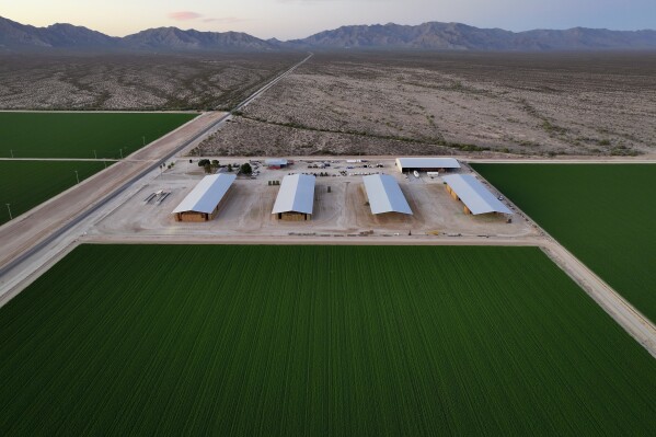 Bales of hay are stored under shelters at Al Dahra Farms, Tuesday, Oct. 17, 2023, in the McMullen Valley in Wenden, Ariz. Worries about future water supplies from ancient aquifers are bubbling up in western rural Arizona. Some neighbors complain that their backyard wells have dried up since the Emirati agribusiness began farming alfalfa nearby. (AP Photo/John Locher)