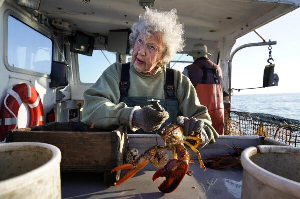 Virginia Oliver, age 101, works as a sternman, measuring and banding lobsters on her son Max Oliver's boat, Tuesday, Aug. 31, 2021, off Rockland, Maine. The state's oldest lobster harvester has been doing it since before the onset of the Great Depression. (AP Photo/Robert F. Bukaty)