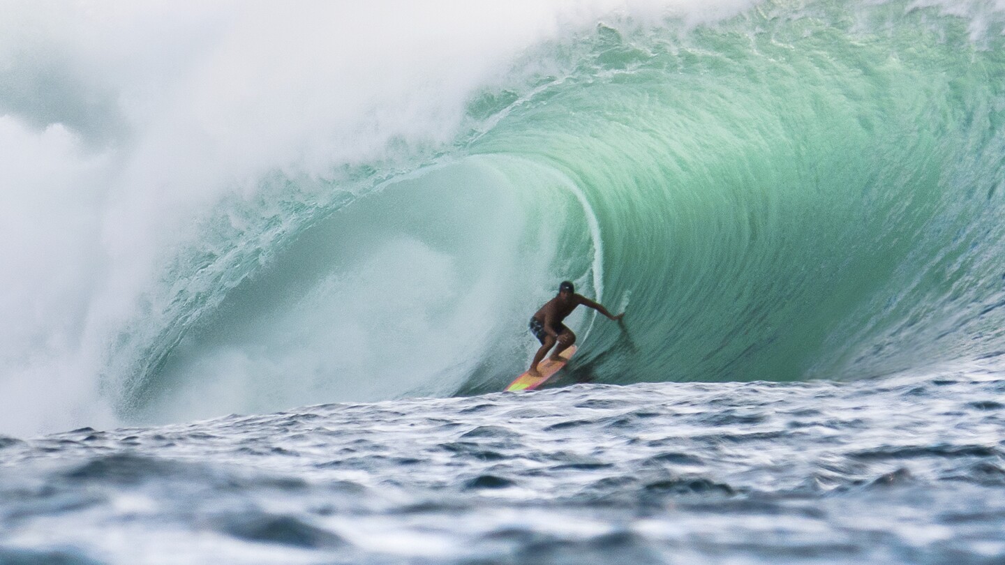 Hawaii lifeguard Tamayo Perry dies in shark attack surfing off Oahu