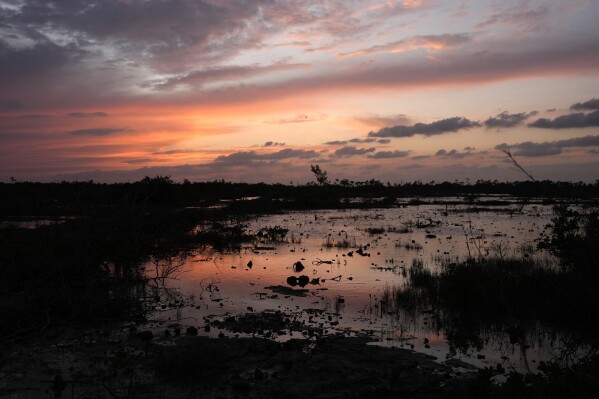 The sun sets over the marshy wetlands of the Florida Keys, Oct. 17, 2024, in Big Pine Key, Fla. (AP Photo/Lynne Sladky, File)