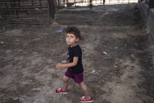 A Palestinian child walks through empty animal pens ahead of the Eid al-Adha holiday in Khan Younis، Gaza Strip، Monday، June 10، 2024. After eight months of devastating war between Israel and Hamas، there's hardly any meat or livestock at local markets. (AP Photo/Abdel Kareem Hana)