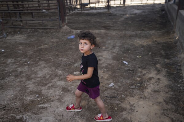 A Palestinian child walks through empty animal pens ahead of the Eid al-Adha holiday in Khan Younis, Gaza Strip, Monday, June 10, 2024. After eight months of devastating war between Israel and Hamas, there's hardly any meat or livestock at local markets. (AP Photo/Abdel Kareem Hana)