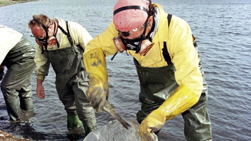 FILE - Environmental workers put dead fish into bags near the Donana Natural Park, in southern Spain, Monday April 27, 1998, after a dike of a mine reservoir broke dumping 5 million cubic meters (176.55 million cubic feet) of toxic waste outside Seville. In a civil trial that opened Tuesday, July 4, 2023, Spanish authorities are seeking 90 million euros ($98 million) in damages from a Swedish mining company for the major toxic spill near the famed Doñana National Park in 1998. (AP Photo/Jaro Munoz, File)